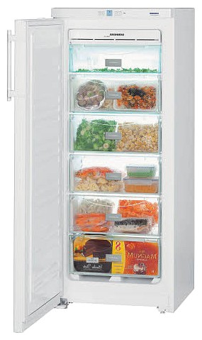 Холодильник Liebherr GN 2303 Фото