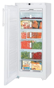 Холодильник Liebherr GN 2313 Фото