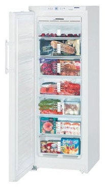 Холодильник Liebherr GN 2756 Фото