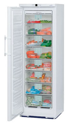 Холодильник Liebherr GN 2856 Фото