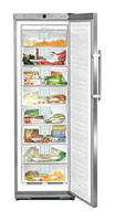 Холодильник Liebherr GNes 2866 Фото