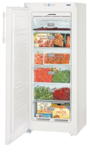 Холодильник Liebherr GNP 2313 Фото