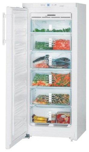 Холодильник Liebherr GNP 2356 Фото