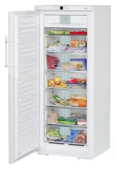 Холодильник Liebherr GNP 2906 Фото