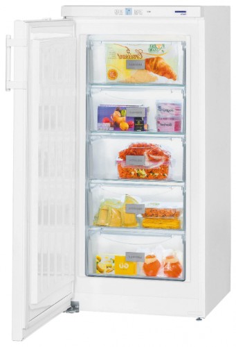 Холодильник Liebherr GP 2033 Фото