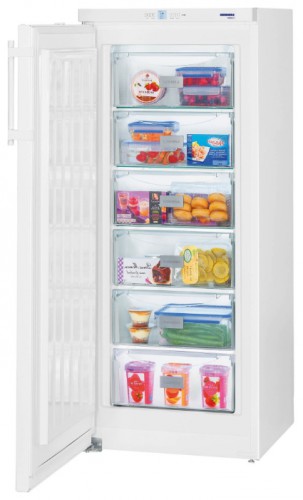 Холодильник Liebherr GP 2433 Фото