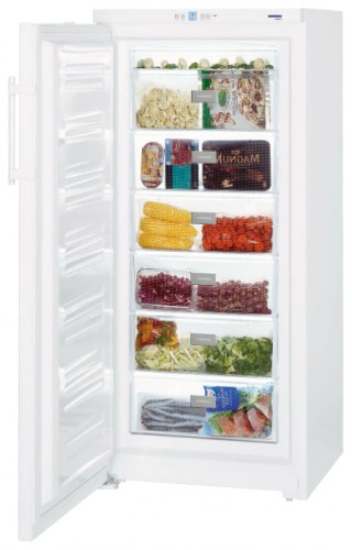 Холодильник Liebherr GP 3013 Фото