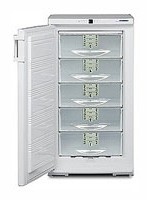 Холодильник Liebherr GSS 2226 Фото