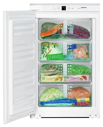 Холодильник Liebherr IGS 1101 Фото