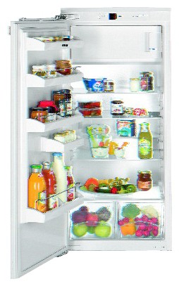 Холодильник Liebherr IK 2214 Фото