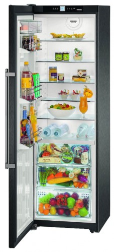 Холодильник Liebherr KBbs 4260 Фото