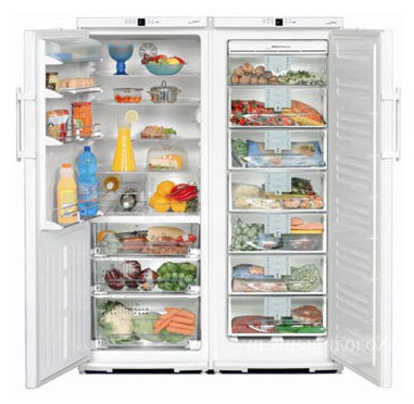 Холодильник Liebherr SBS 6102 Фото