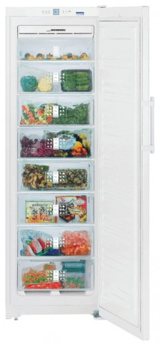 Холодильник Liebherr SGN 3010 Фото