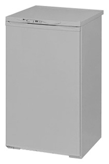 Холодильник NORD 161-410 Фото