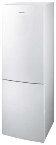 Холодильник Samsung RL-40 SCSW Фото