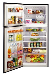 Холодильник Samsung RT-45 USGL Фото