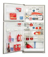 Холодильник Sharp SJ-P59MGL Фото