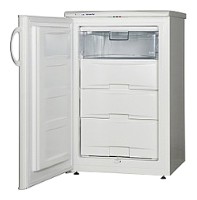 Холодильник Snaige F100-1101АА Фото
