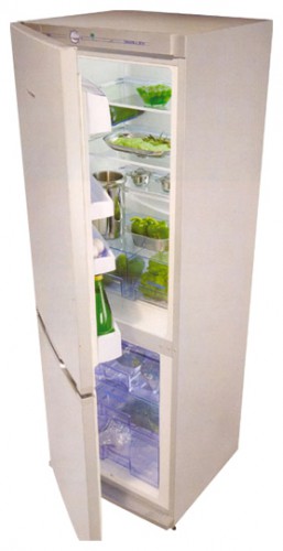 Холодильник Snaige RF31SH-S1DD01 Фото