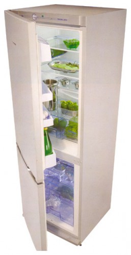 Холодильник Snaige RF31SM-S11A01 Фото