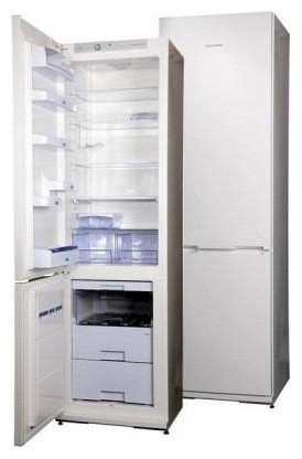 Холодильник Snaige RF39SH-S10001 Фото