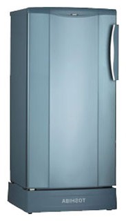 Холодильник Toshiba GR-E311TR I Фото
