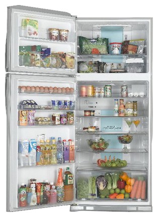 Холодильник Toshiba GR-Y74RD SC Фото