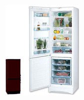 Холодильник Vestfrost BKF 404 Brown Фото