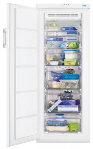 Холодильник Zanussi ZFU 20200 WA Фото