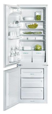 Холодильник Zanussi ZI 3103 RV Фото