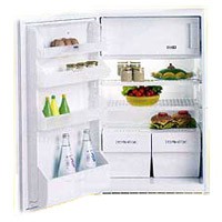 Холодильник Zanussi ZI 7163 Фото
