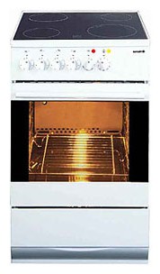 Кухонная плита Hansa FCCW550820 Фото