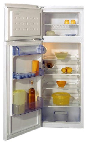 Холодильник BEKO DSK 251 Фото