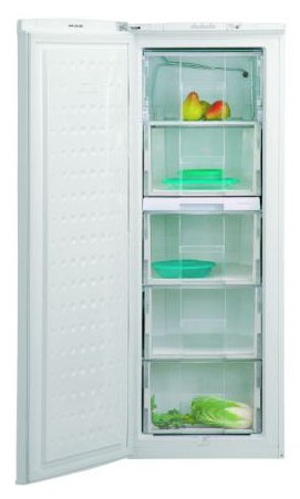 Холодильник BEKO FSE 21300 Фото