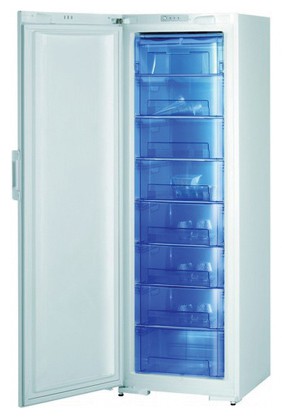 Холодильник Gorenje F 60300 DW Фото