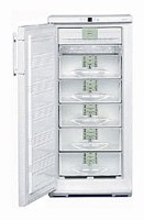 Холодильник Liebherr GN 2413 Фото