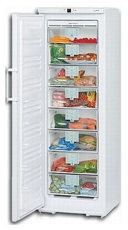 Холодильник Liebherr GN 28530 Фото