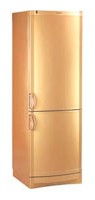 Холодильник Vestfrost BKF 404 Gold Фото