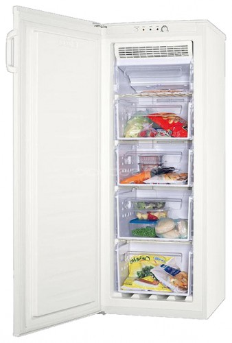 Холодильник Zanussi ZFU 216 FWO Фото